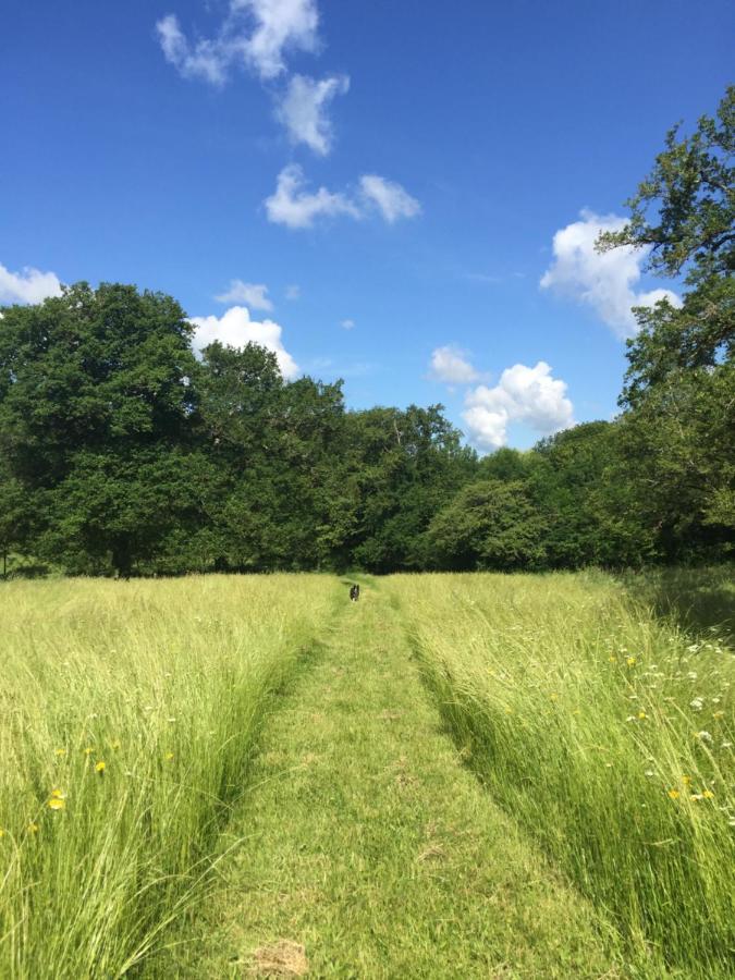 Le Gite Du Petit Renard: A Tranquil Gite With Pool Oradour-Saint-Genest 외부 사진